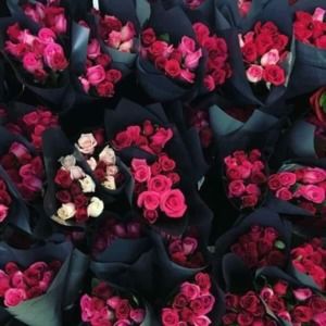 Meet your Posher, Inas